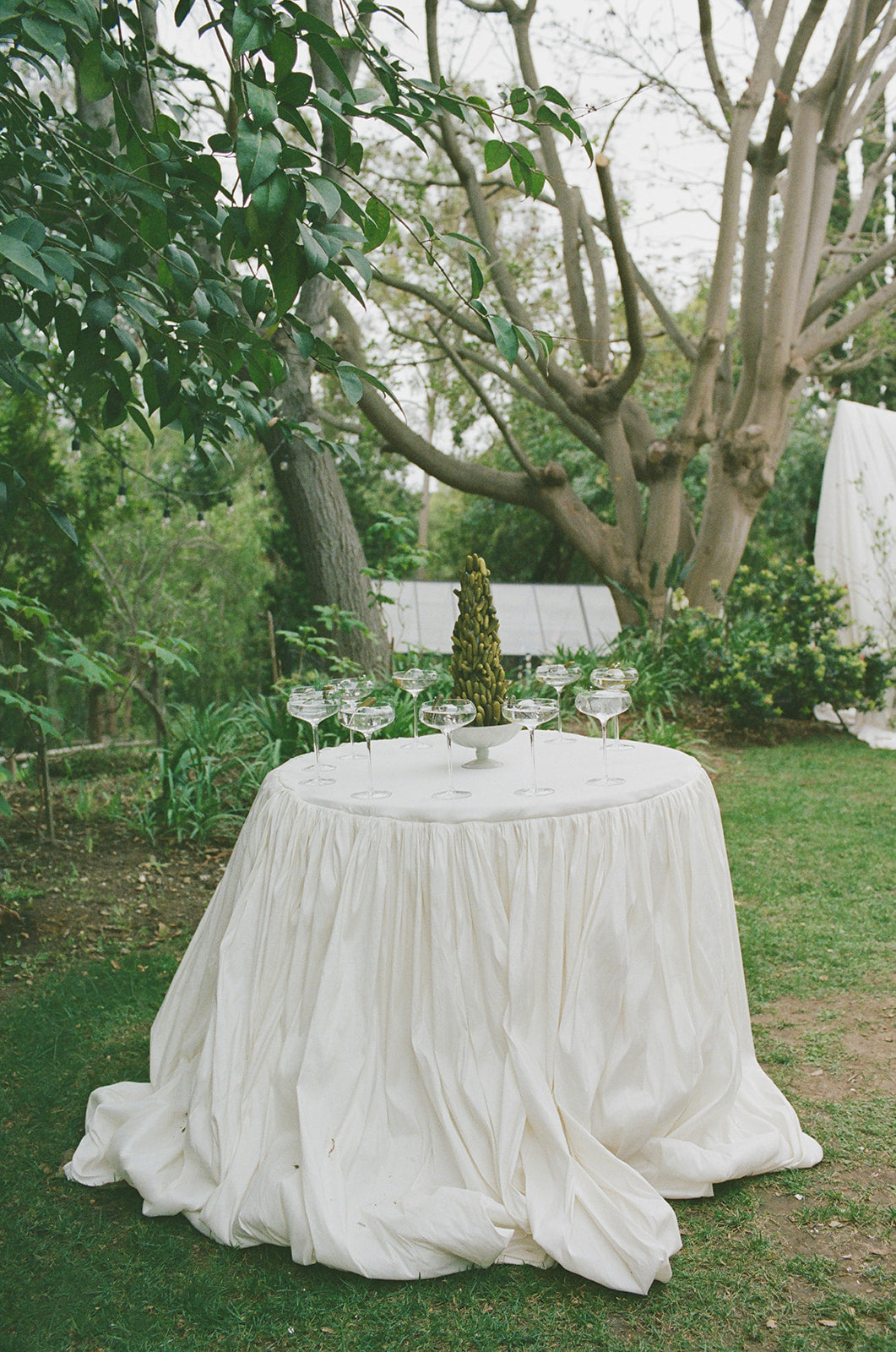The Tosca Linen